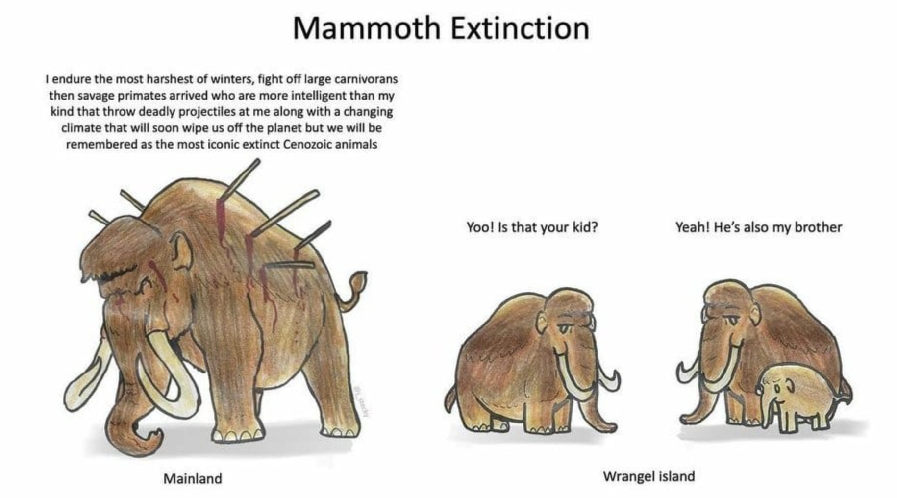 Mammoth populations.